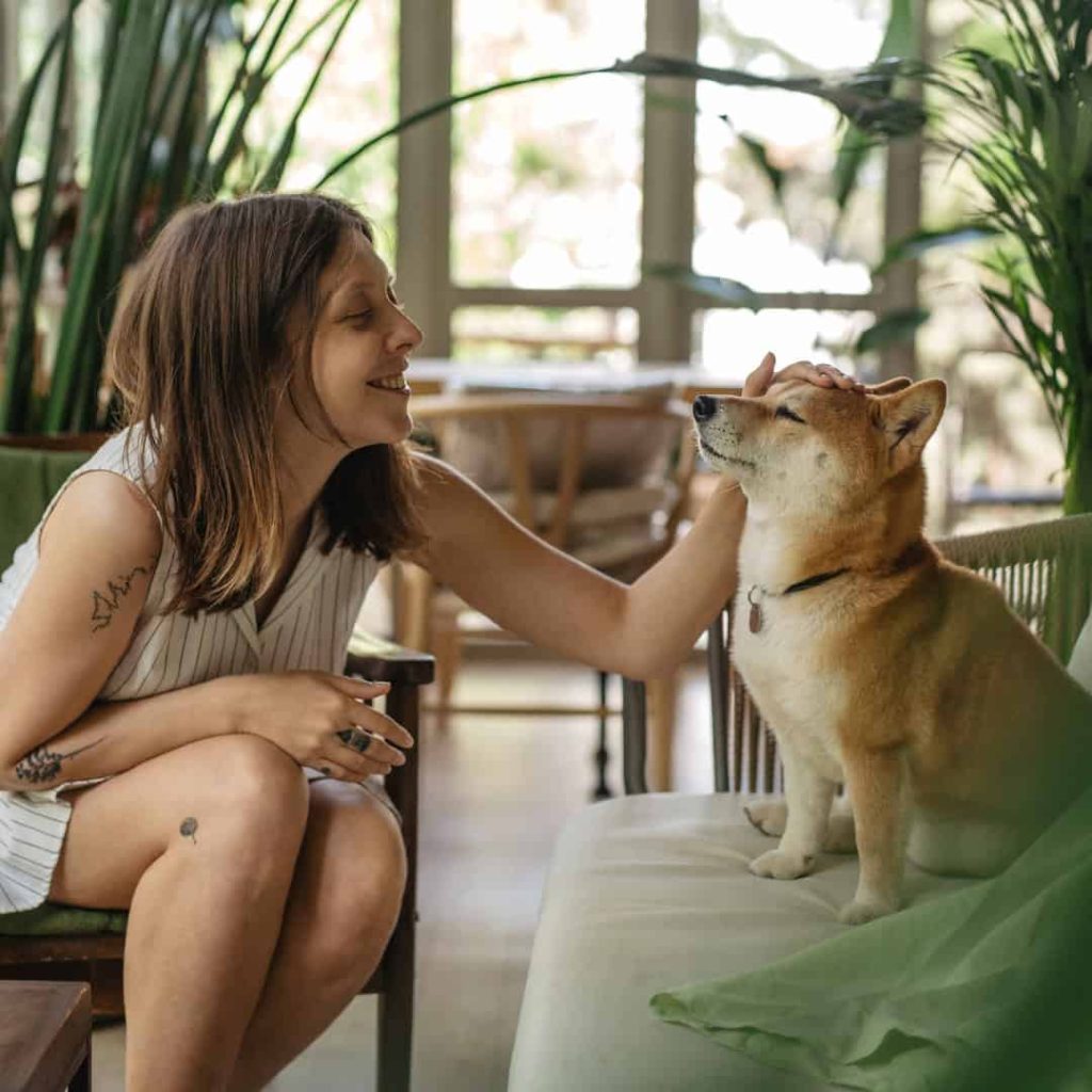 SEO for Pet Stores
